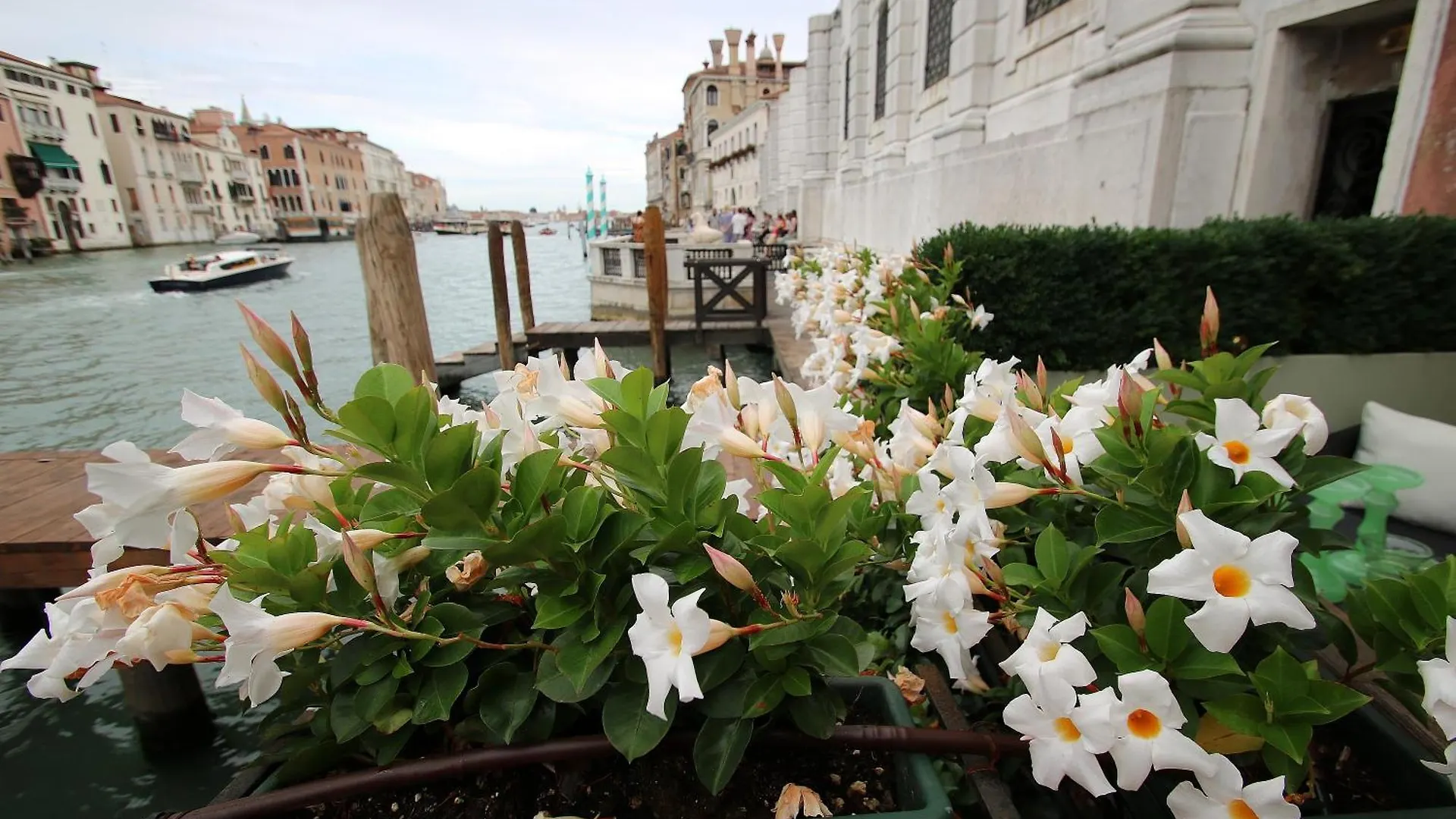Apartment Grandelux-Canal - Bbc Venice Grand Tour 2024 Recorded Here! Italy